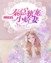 秦总独宠小娇妻章节列表