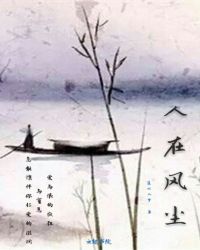 人在风尘章节列表