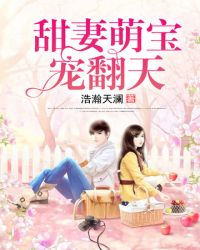 甜妻萌宝宠翻天章节列表