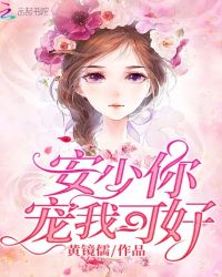 安少你宠我可好章节列表