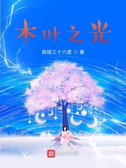 木叶之光章节列表