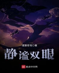 静谧双眼章节列表