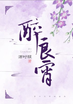 良宵难得章节列表