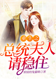 重生之总统夫人请稳住章节列表