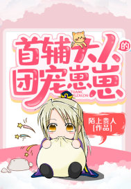首辅大人的团宠崽崽章节列表