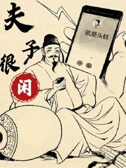 夫子很闲章节列表