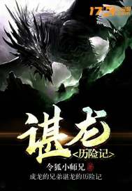 谌龙历险记章节列表