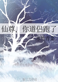 仙尊，你道侣跑了章节列表