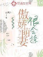傲娇萌妻很会撩章节列表