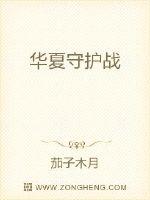 华夏守护战章节列表
