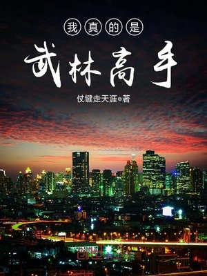 楚箫章节列表