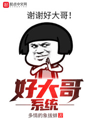 好大哥系统章节列表