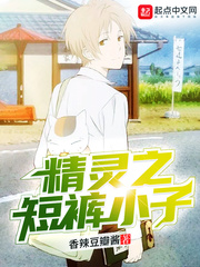 良人口袋妖怪章节列表