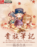 贵族笔记章节列表
