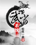 武当系统章节列表