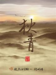 狄青章节列表