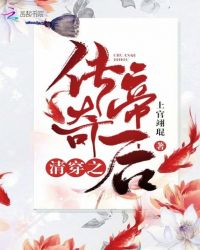 清穿之传奇帝后章节列表