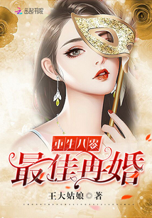 重生之最佳再婚章节列表