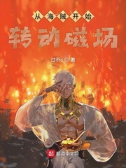 从海贼开始转动磁场章节列表