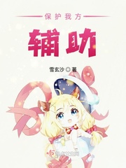 保护我方辅助章节列表