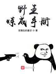 野王炼成手册章节列表