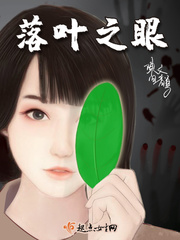 落叶之眼章节列表