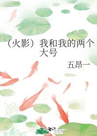 （火影）我和我的两个大号章节列表