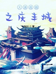 大漠孤烟之庆丰城章节列表