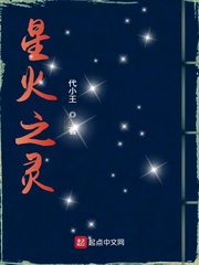 星火之灵章节列表