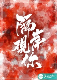 隔岸观你章节列表