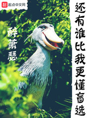 还有谁比我更懂盲选章节列表