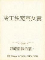 冷王独宠商女妻章节列表