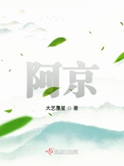 阿京章节列表