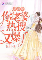 季教授你老婆热搜又爆了章节列表