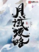 月域攻略章节列表