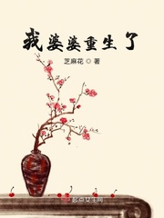 我婆婆重生了章节列表