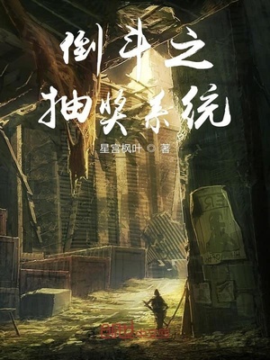 倒斗之抽奖系统章节列表
