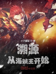 溯源从海贼王开始章节列表