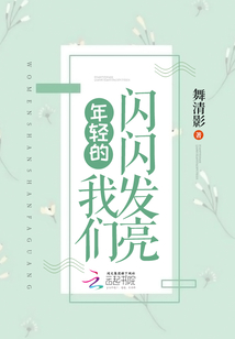 年轻的我们闪闪发亮章节列表
