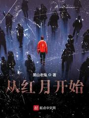 陆辛红月亮章节列表