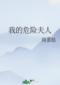 我的危险夫人章节列表