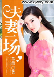 夫妻一场章节列表