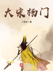 大宋杨门章节列表