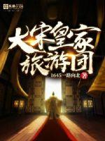 大宋皇家旅游团章节列表