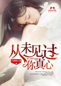 从未见过你真心章节列表