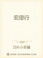 宏愿行章节列表