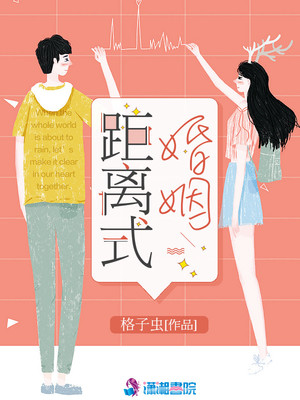 距离式婚姻章节列表