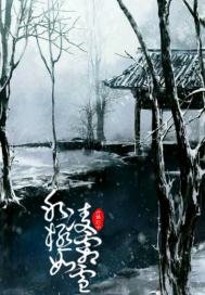 冰凌极霜如雪章节列表