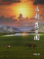 长歌落日圆章节列表
