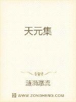 天元集章节列表